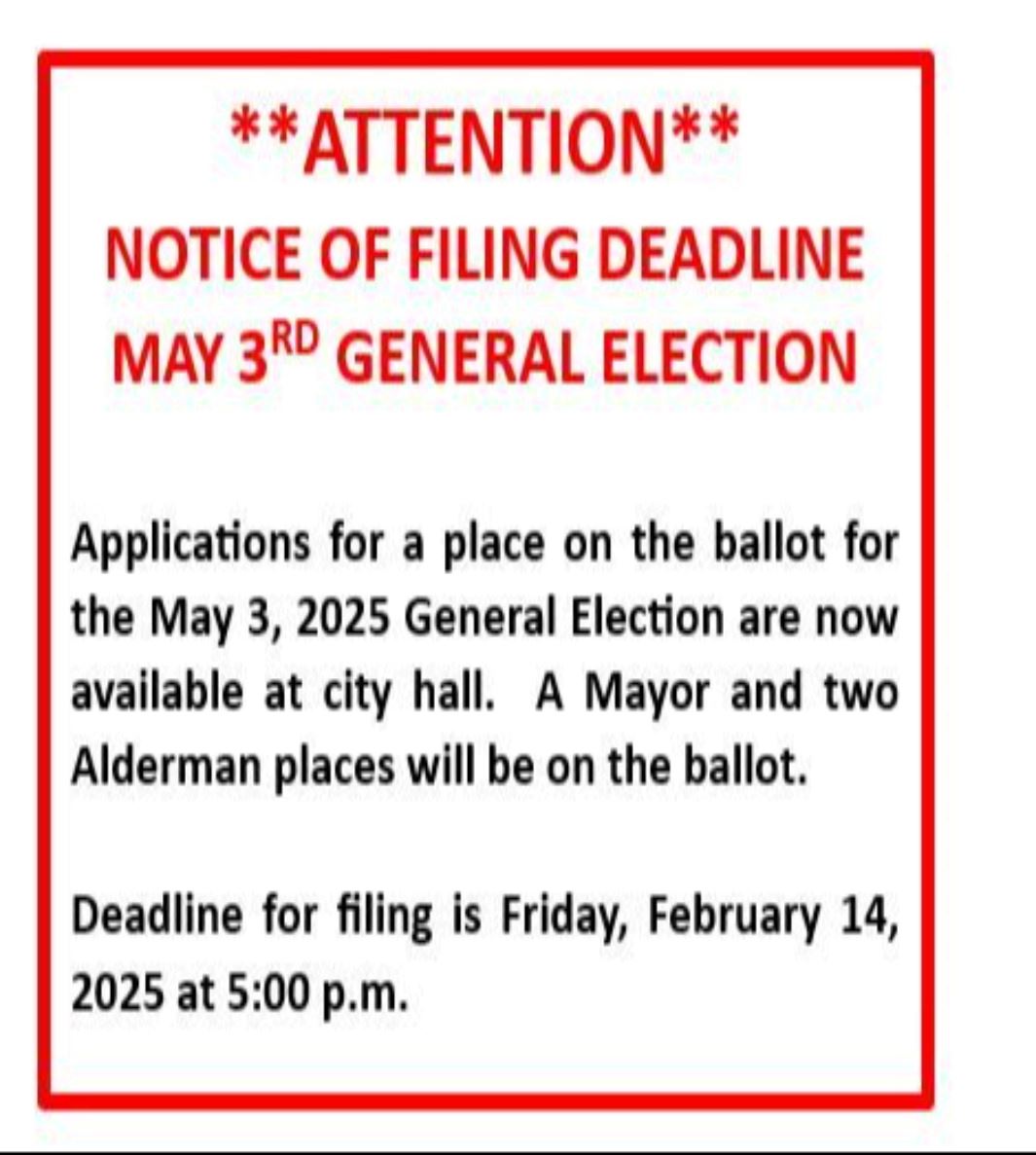 2025 ELECTION BALLOT FILING NOTICE